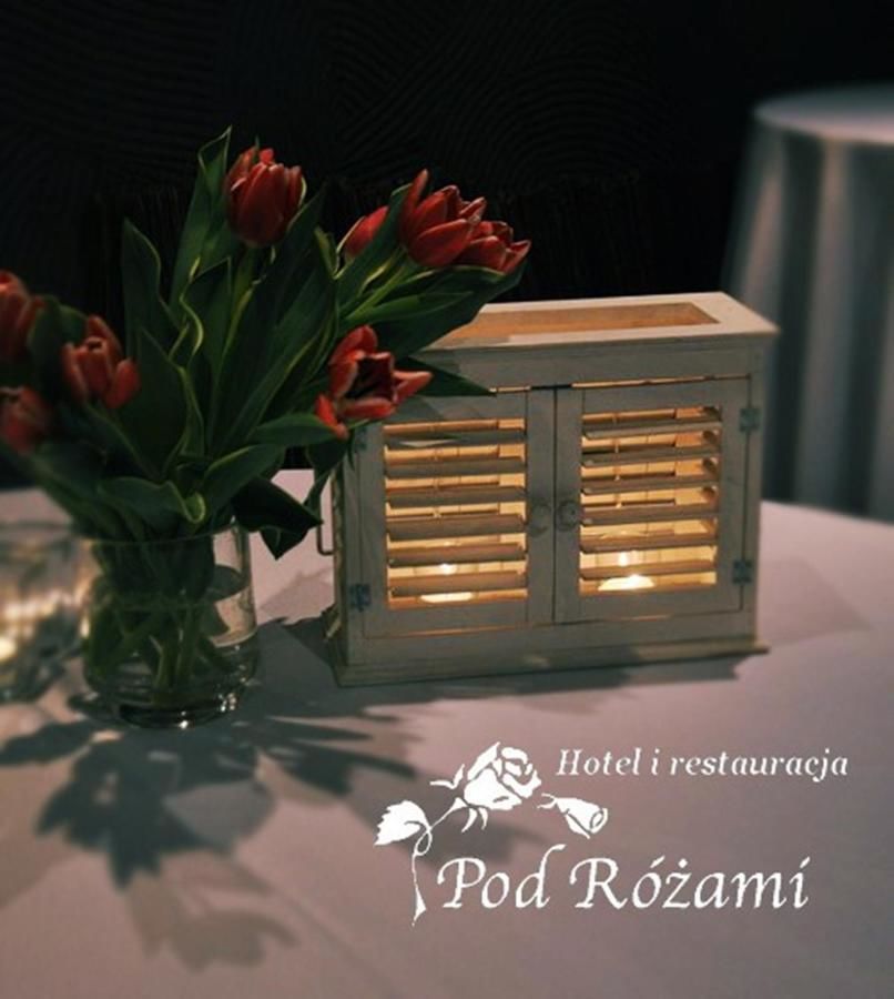 Отель Hotel Pod Różami Едльня-Летниско-17