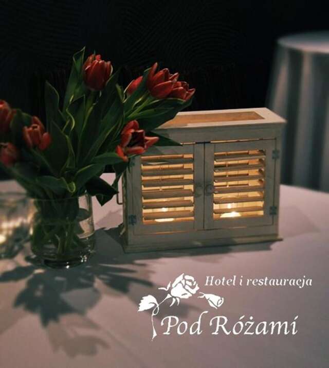 Отель Hotel Pod Różami Едльня-Летниско-16